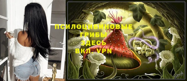 ешки Дмитров