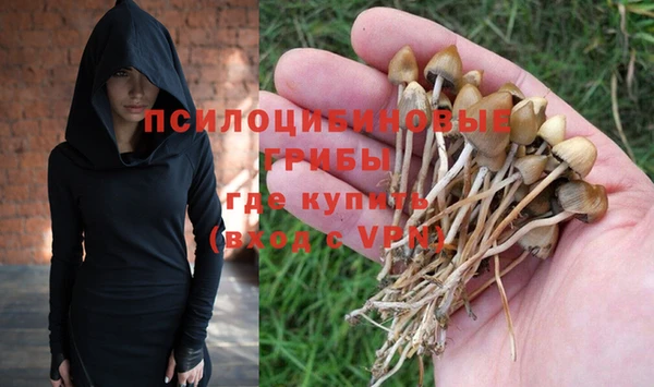 герыч Дмитровск