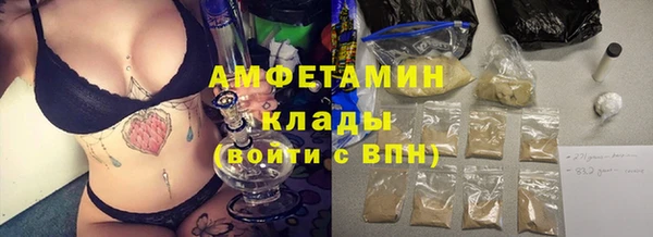 стаф Дмитриев