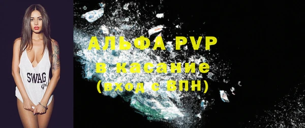 стаф Дмитриев