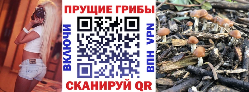 Купить  Калязин  Галлюциногенные грибы ЛСД 